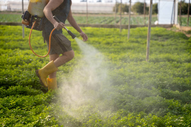 Best Residential Pest Control  in Hayfield, MN